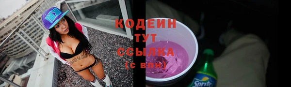 дживик Бородино
