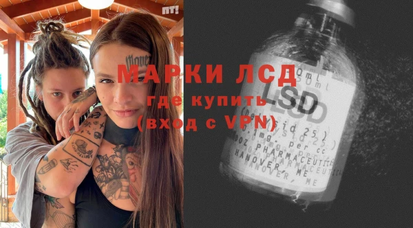 дживик Бородино