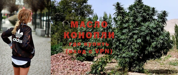дживик Бородино