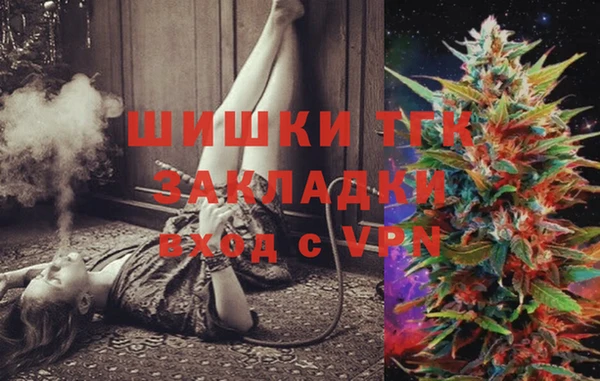дживик Бородино